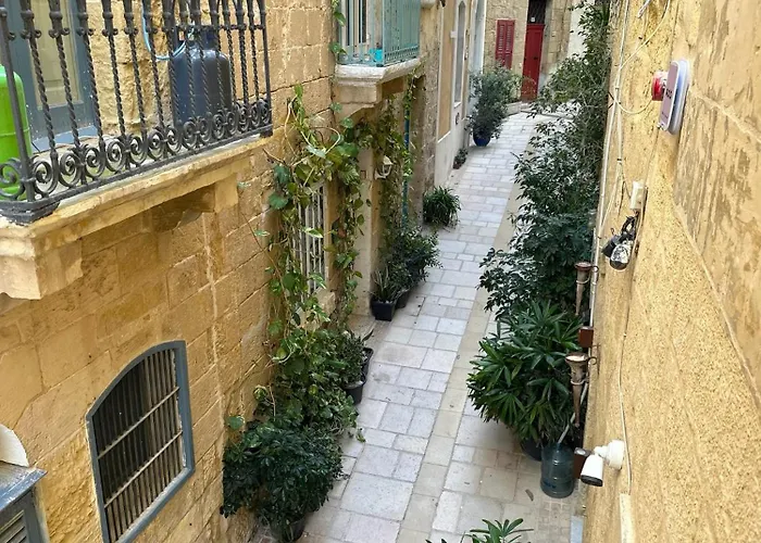 Felipe X Casa Norte 4*